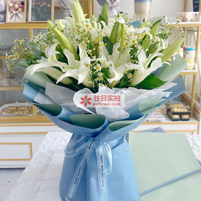 莆田8支白色多头百合洋甘菊，互倾的思念